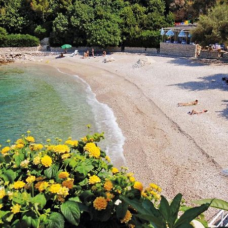 Apartments With A Parking Space Plat, Dubrovnik - 4776 Mlini Exterior foto